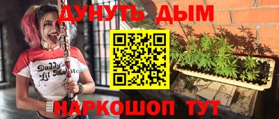 шишки Новокубанск