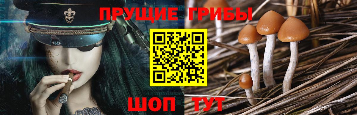 Псилоцибиновые грибы Psilocybe  Вход с VPN  хочу   Химки  Галлюциногенные грибы Cubensis 